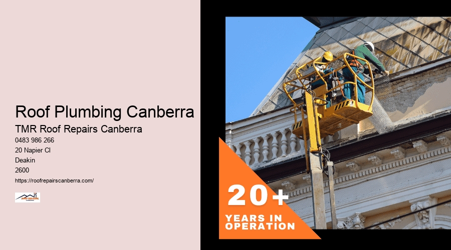 Roof Repairs Canberra