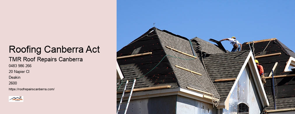 Metal Roof Repairs Canberra