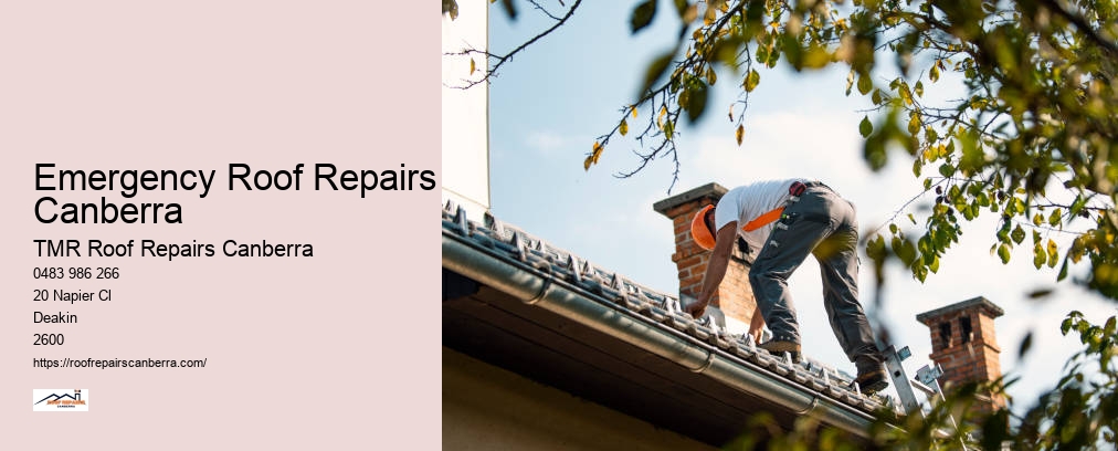 Roof Leak Repair Canberra