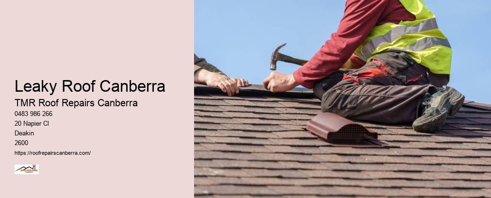 Metal Roof Repairs Canberra