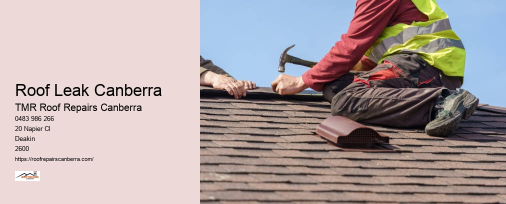 Roof Repairs Canberra